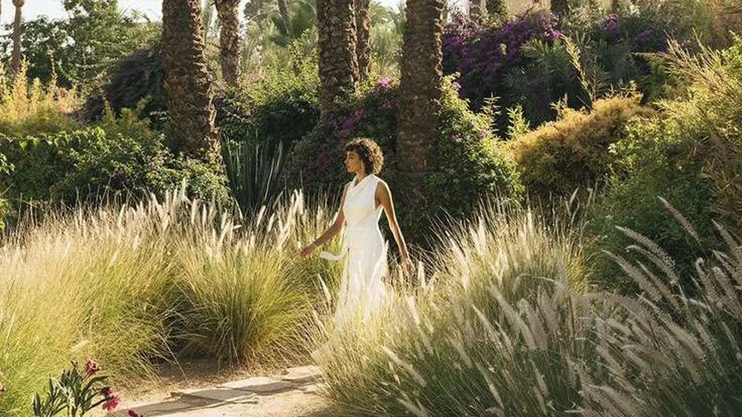 גן פנימי מוקף חומות