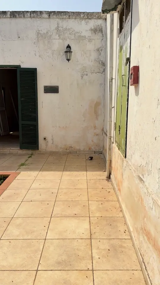 אגפים בנכס שדורשים שיקום
